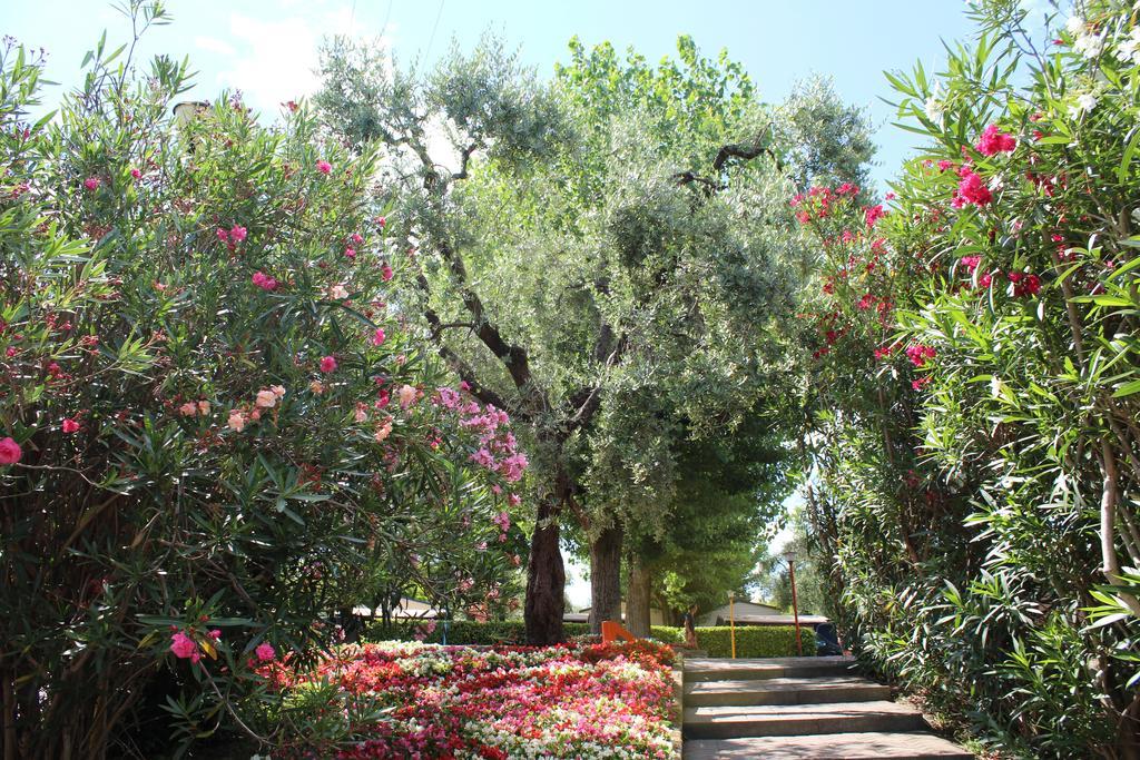 Campeggio Cisano - San Vito