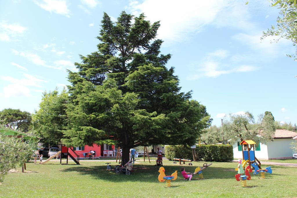 Cisano - San Vito Campeggio