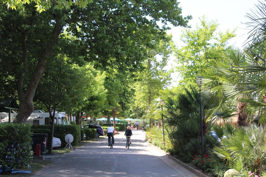 Cisano - San Vito Camping Bardolino